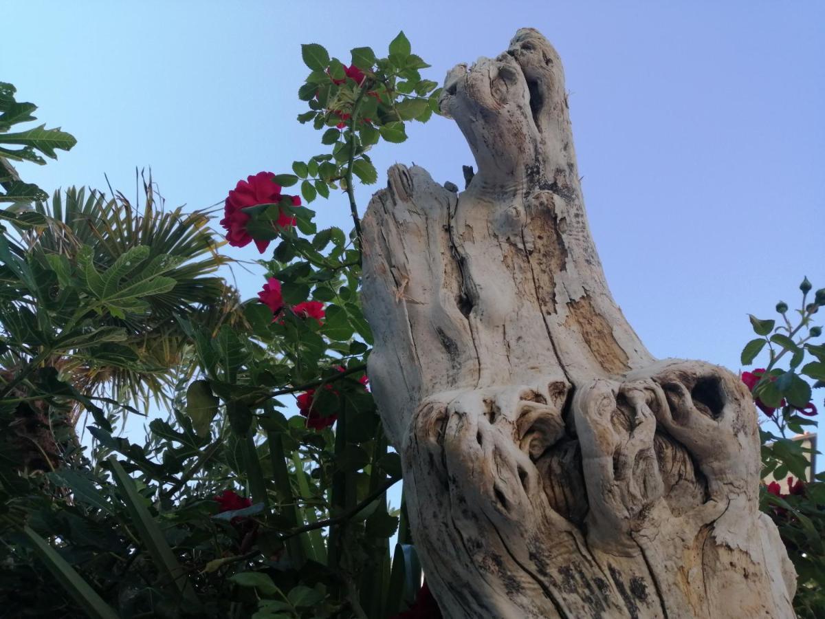 Lea Daire Rovinj Dış mekan fotoğraf