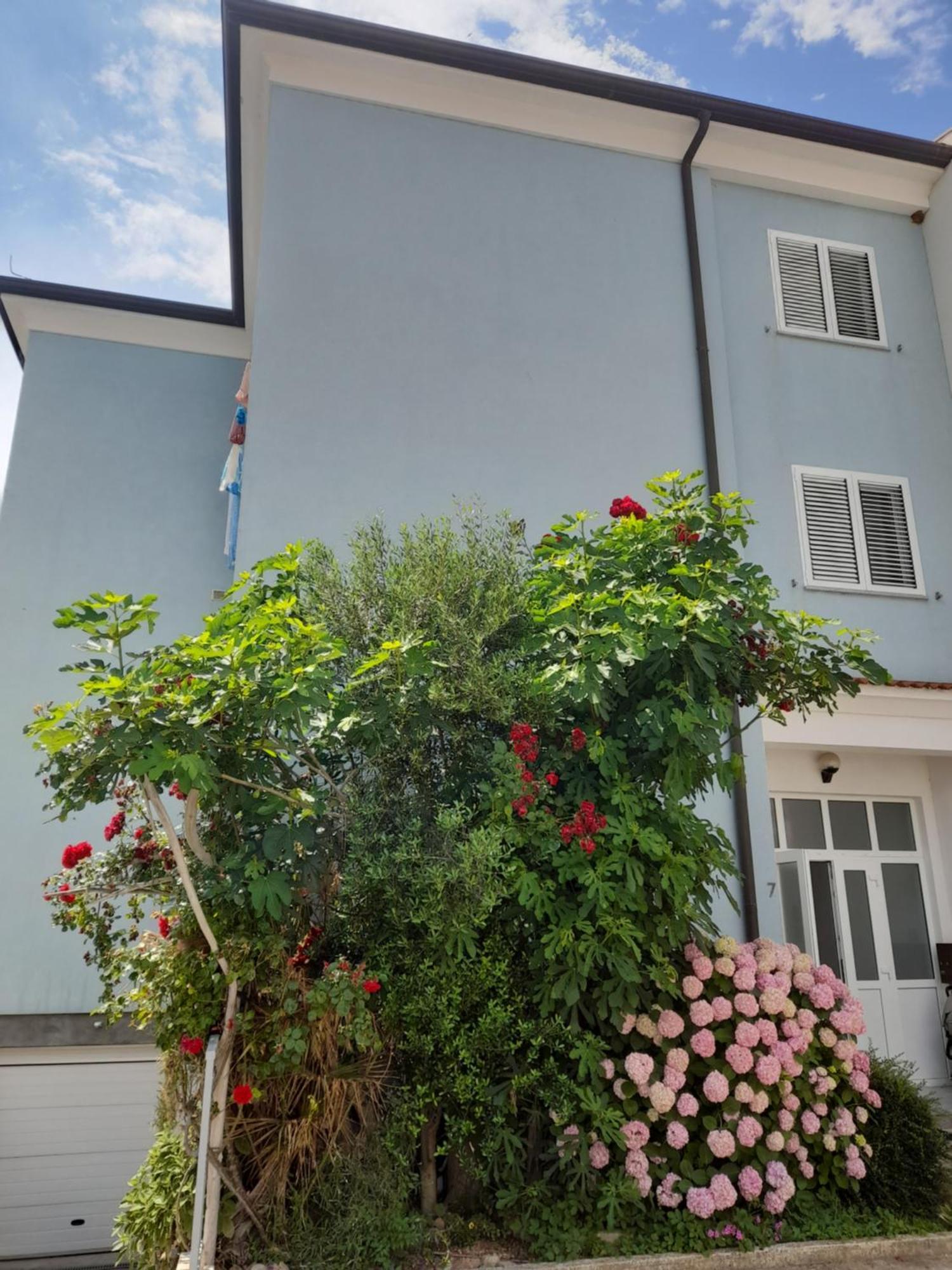 Lea Daire Rovinj Dış mekan fotoğraf