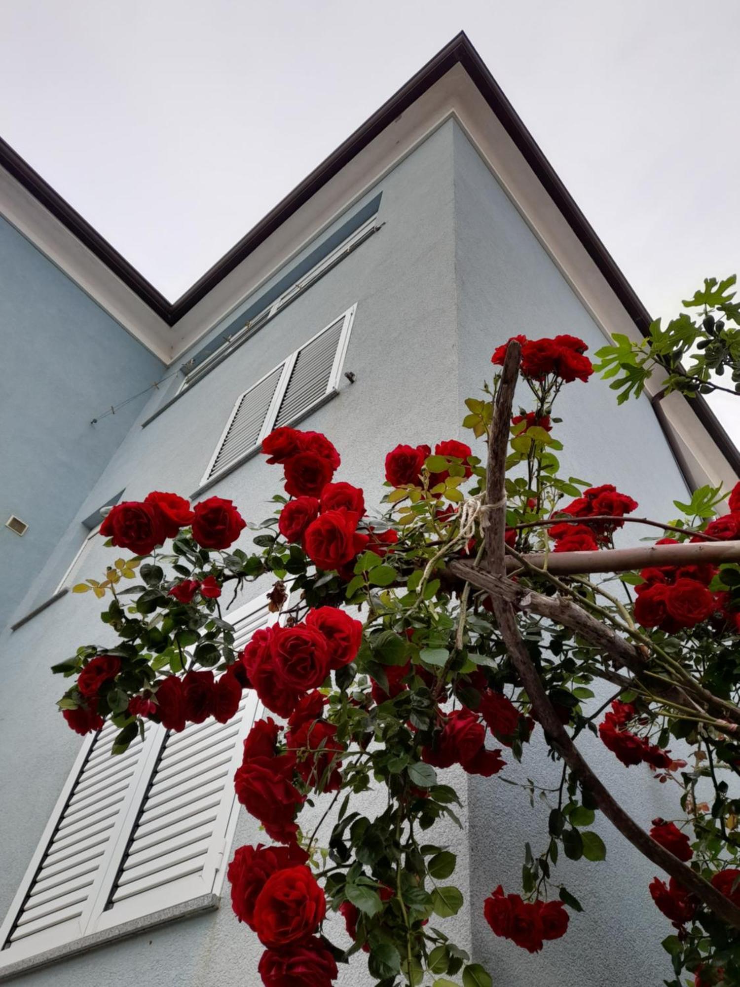 Lea Daire Rovinj Dış mekan fotoğraf